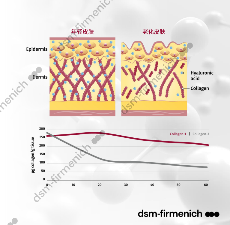 SYN-AKE peptide4.png