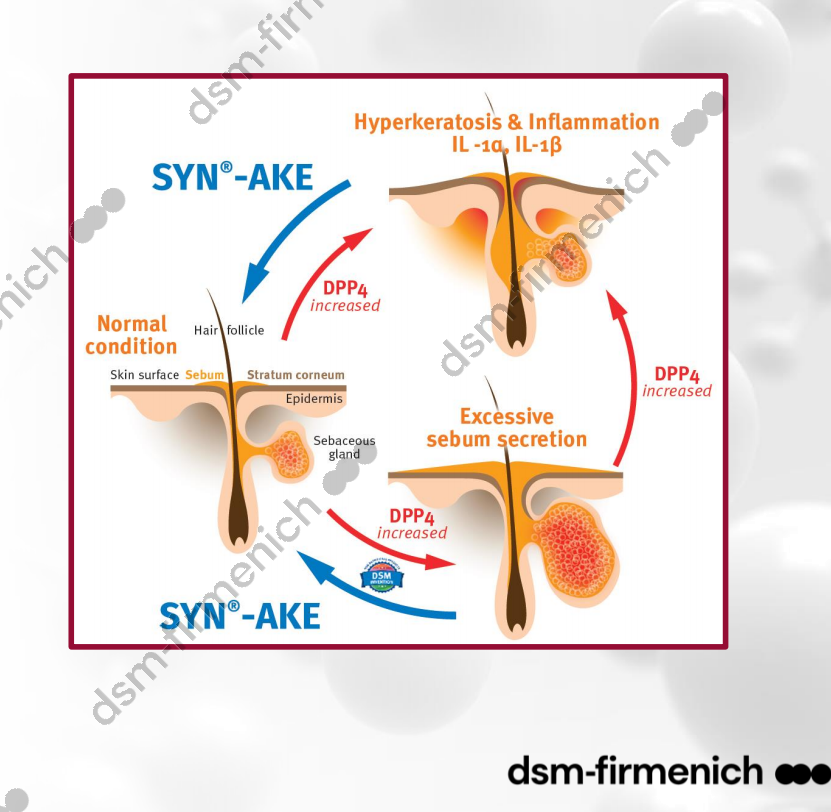 SYN-AKE peptide7.png