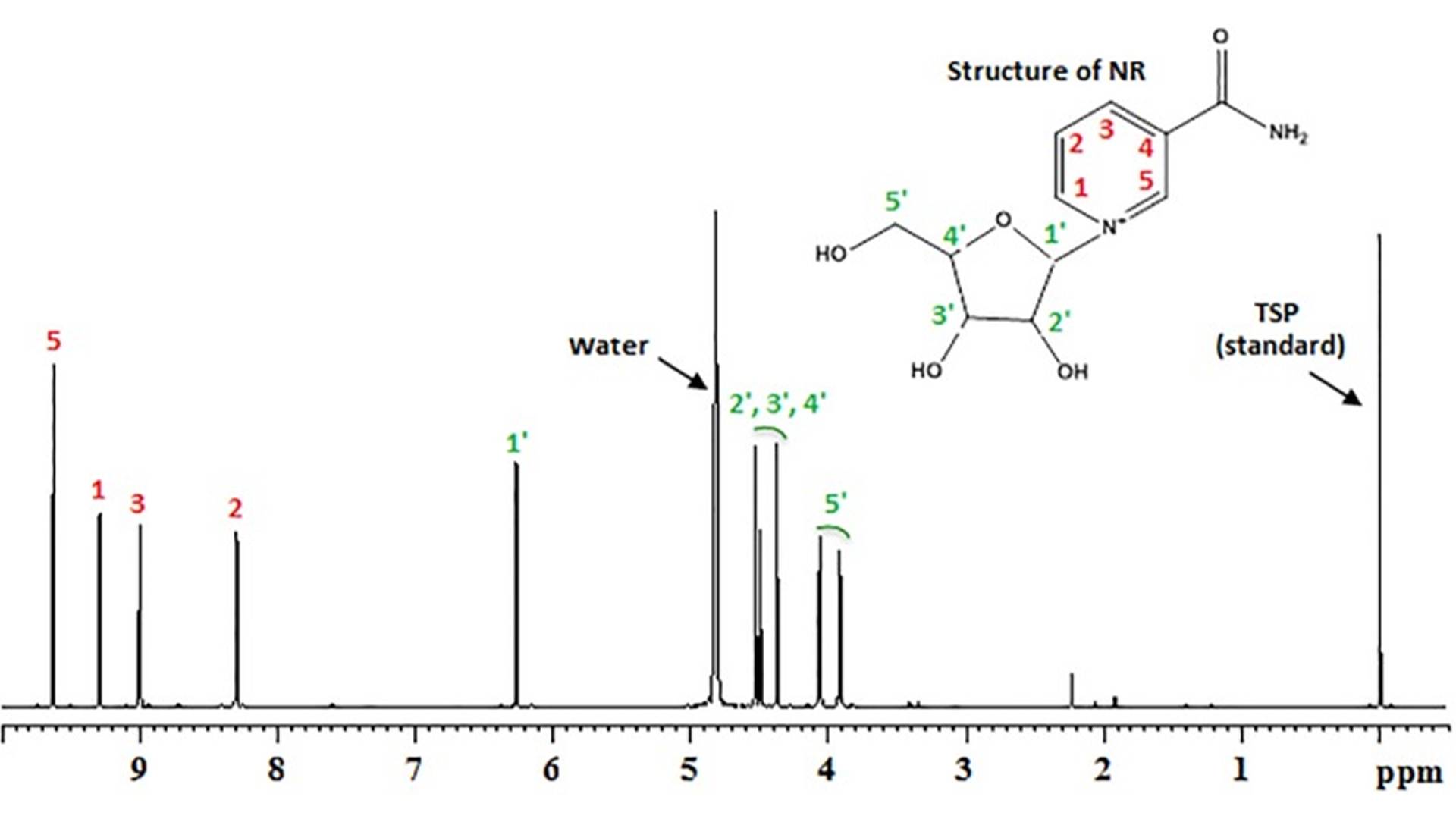 Nicotinamide Riboside2.jpg