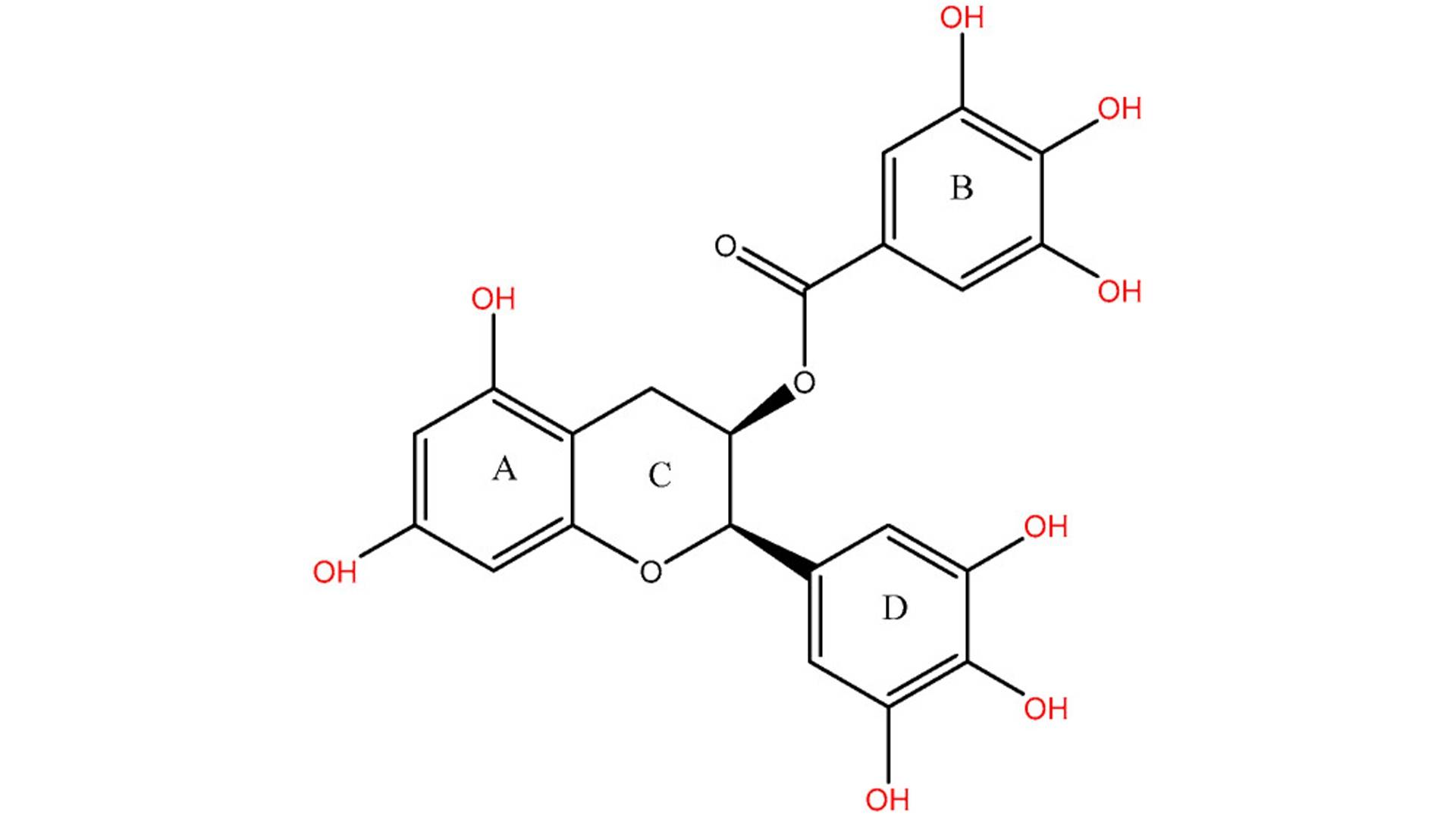 Epigallocatechin Gallate2.jpg