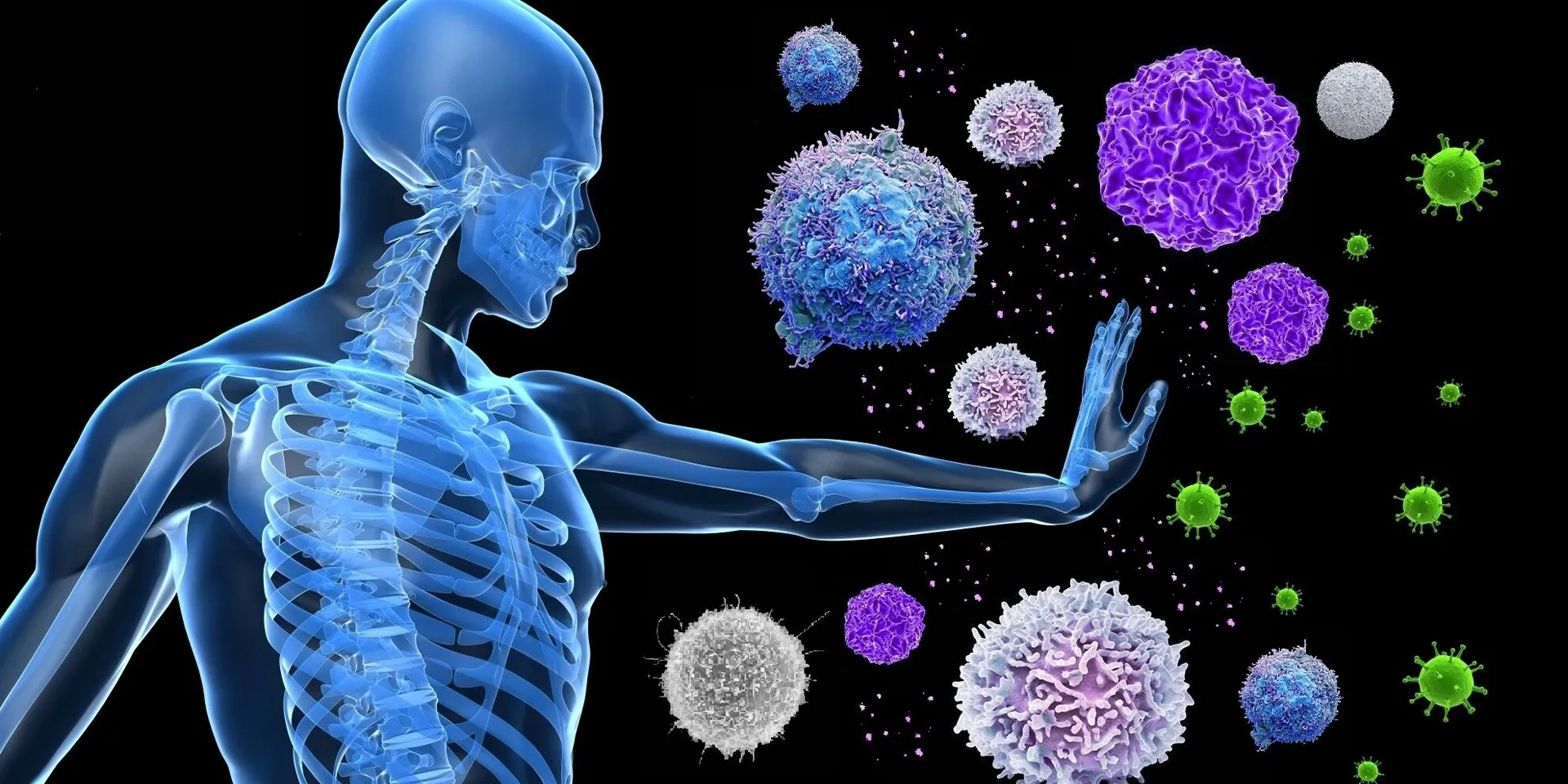 Shilajit Extract Fulvic Acid 10%-50%7.jpg