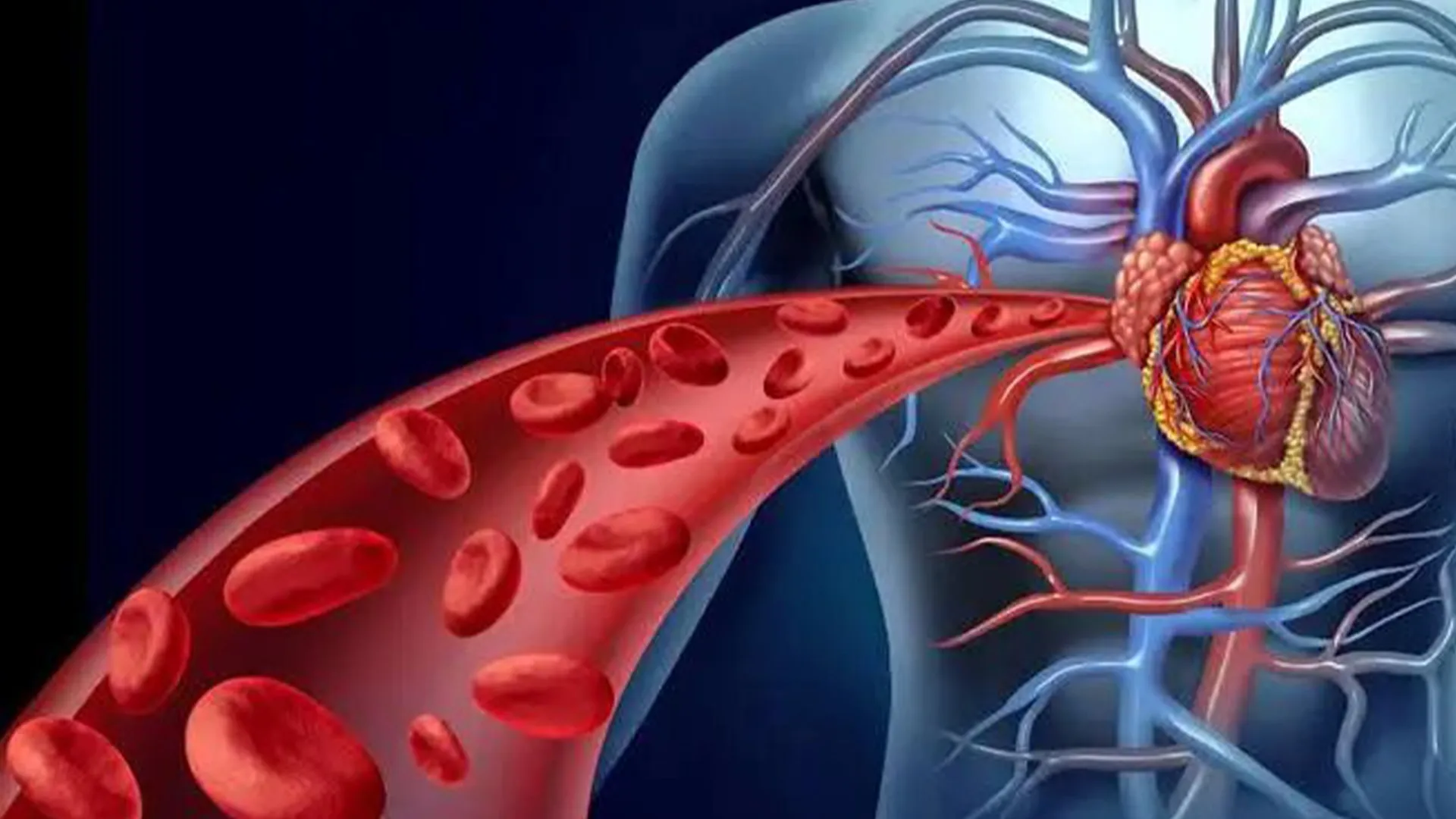 Shilajit Extract Fulvic Acid 10%-50%11.jpg