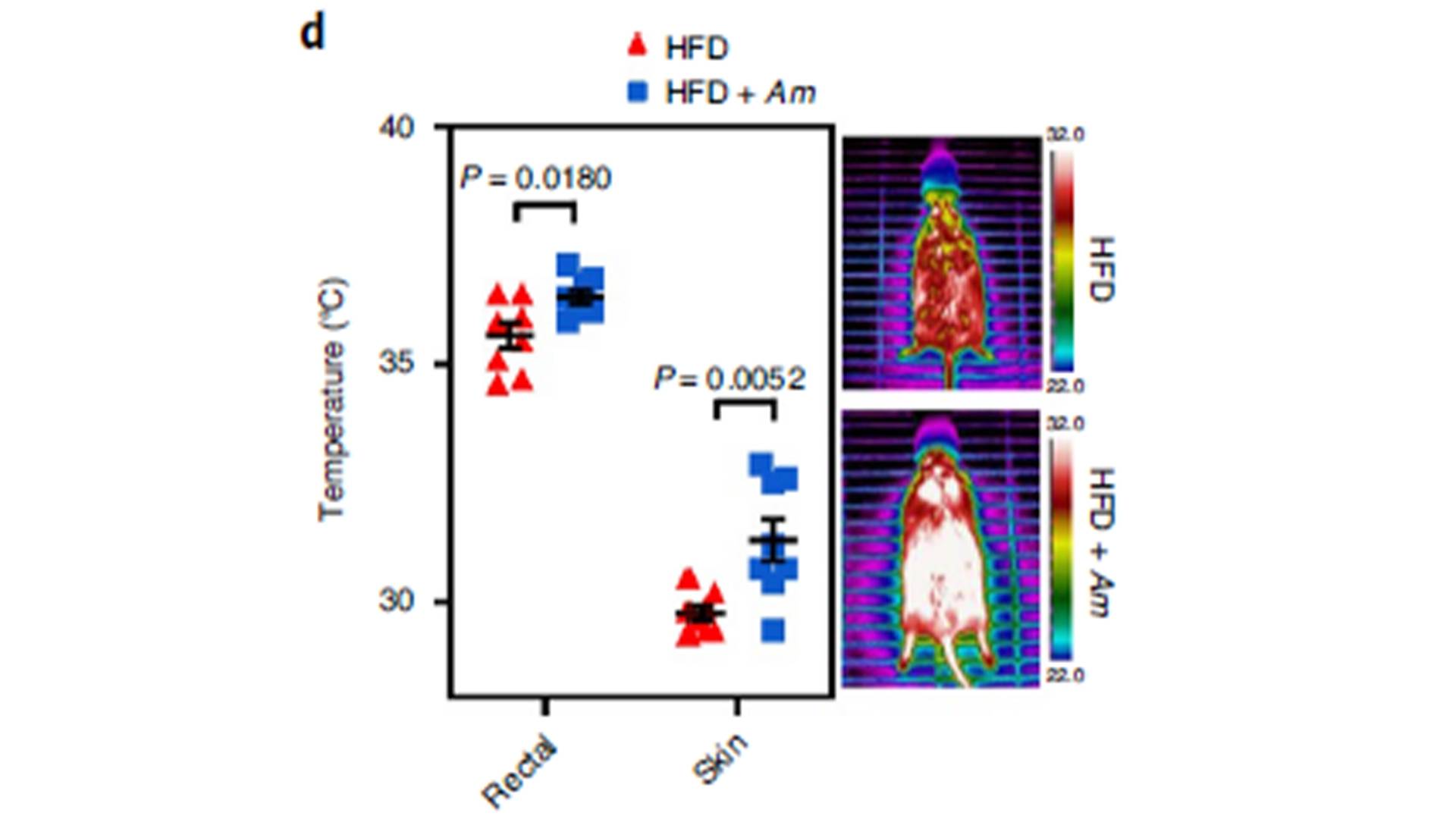 Akkermansia Muciniphila 200billion4.jpg