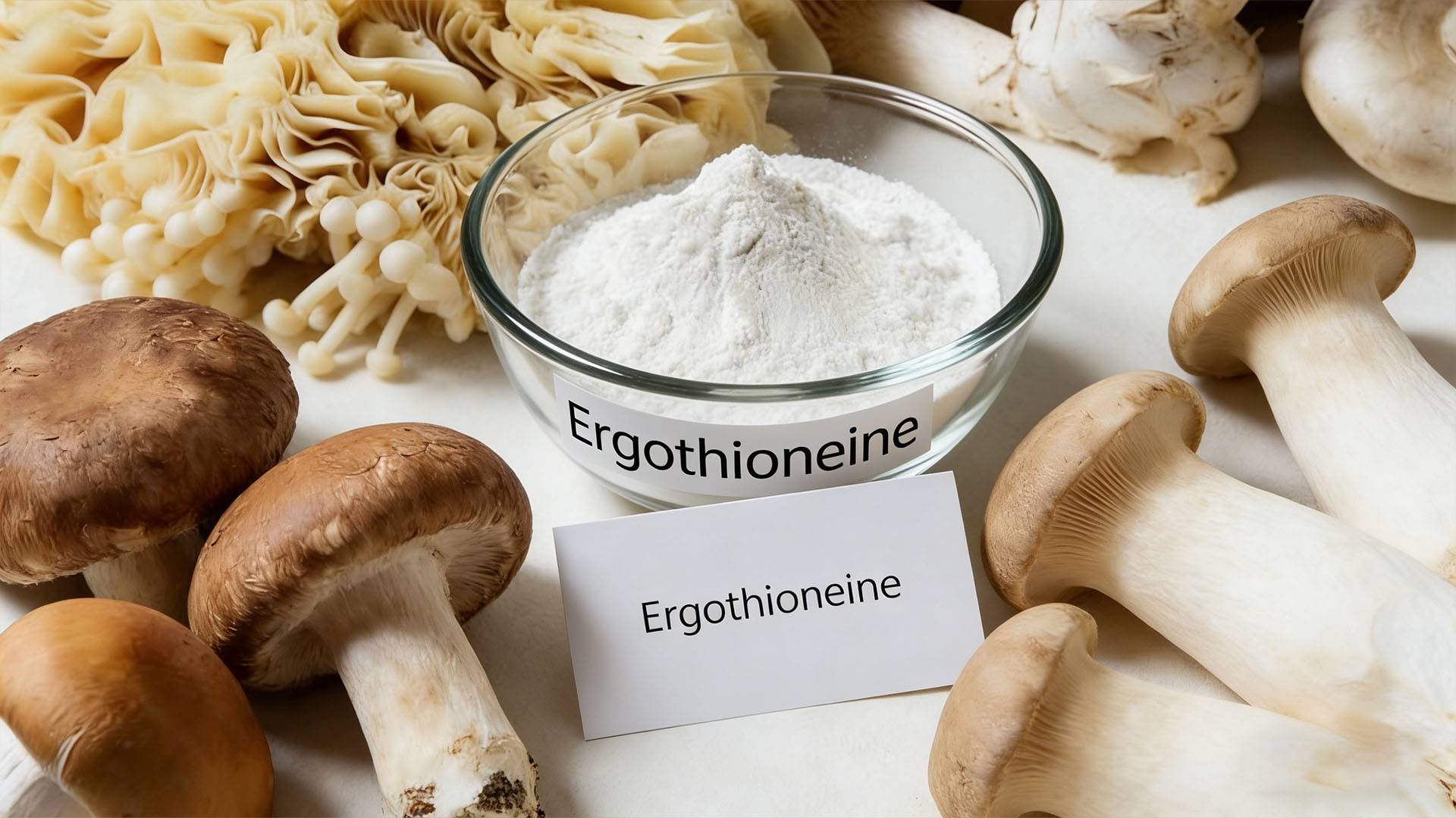 The“Antioxidant Star” Ingredient — Ergothioneine